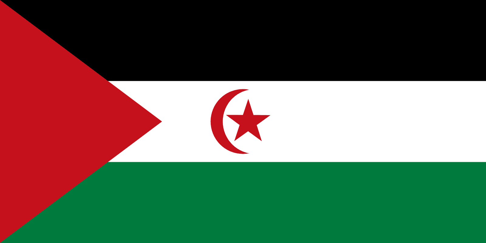 Image result for flag Western Sahara