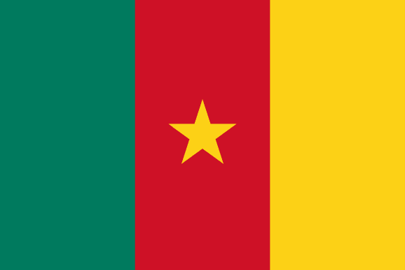 Camerouns flag