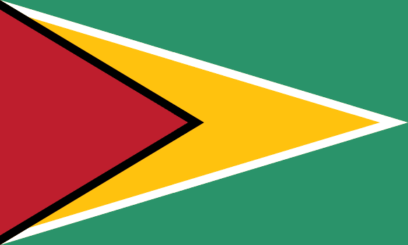 Guyanas flag