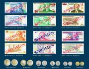 Turkish new lira