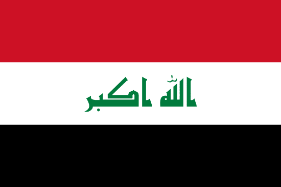 amir-al-ammari:iq