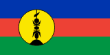 New Caledonian Flag