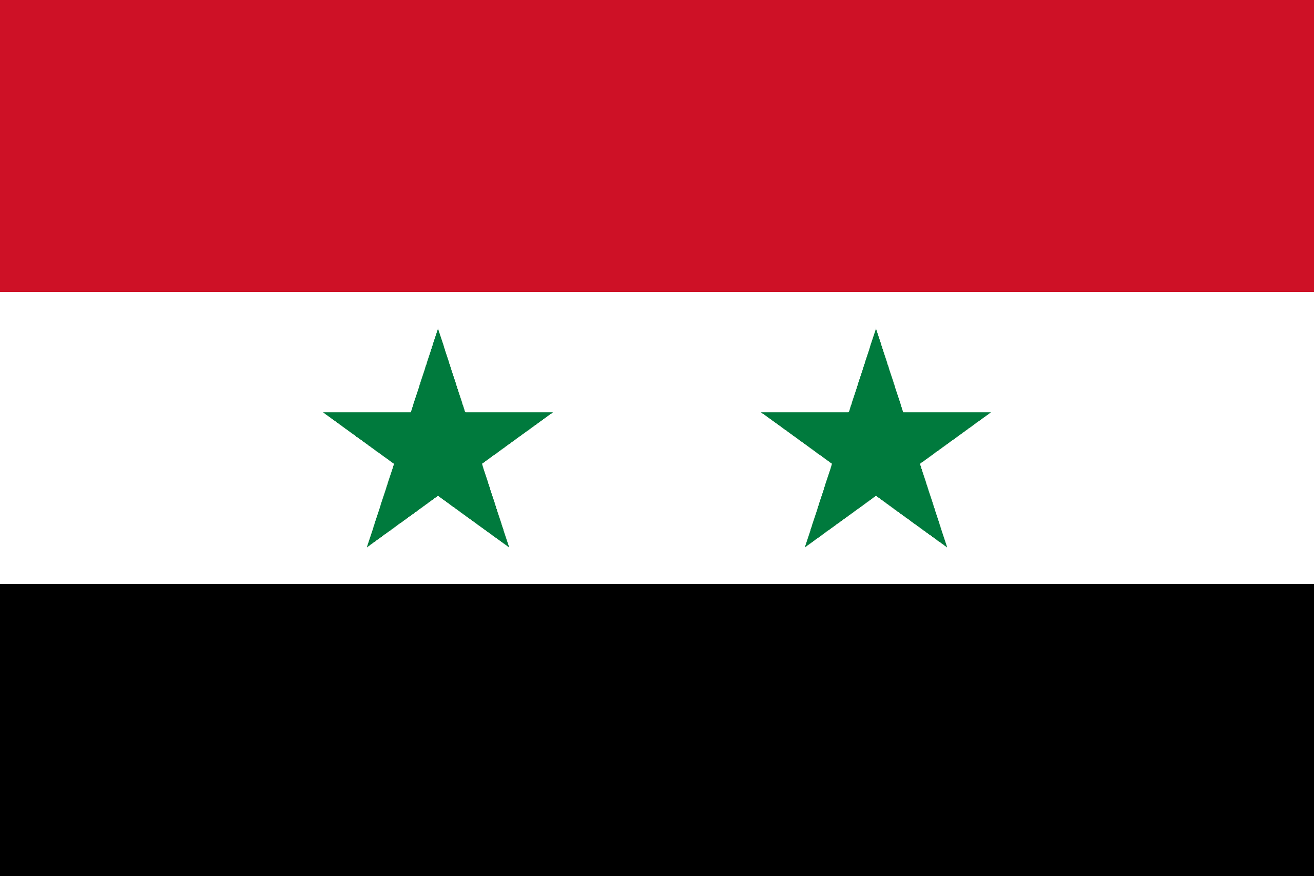 flag image