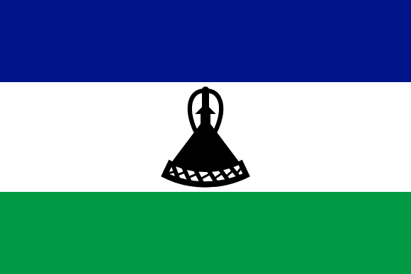 LS flag