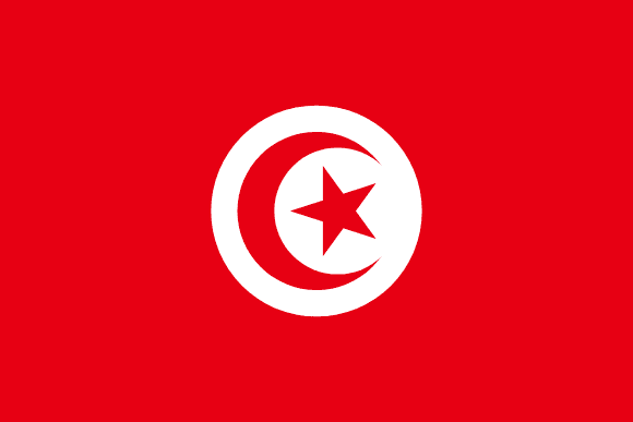 TN flag